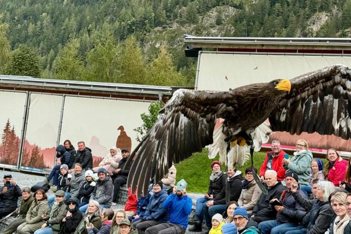 Musikausflug
