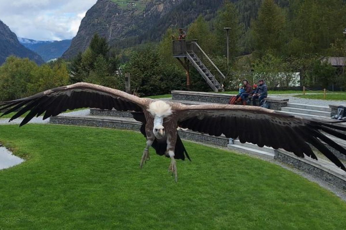 Musikausflug